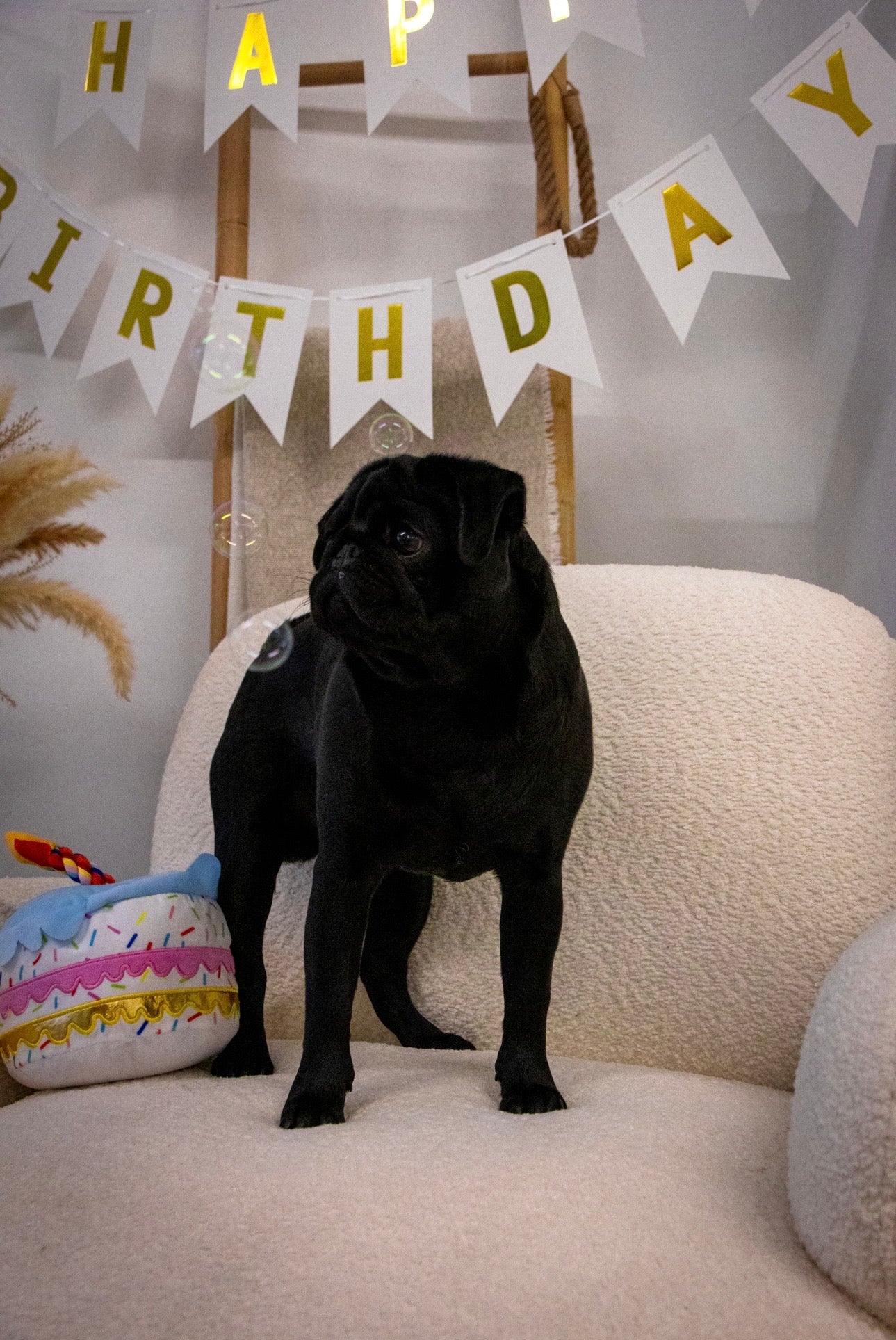 Happy Birthday Banner