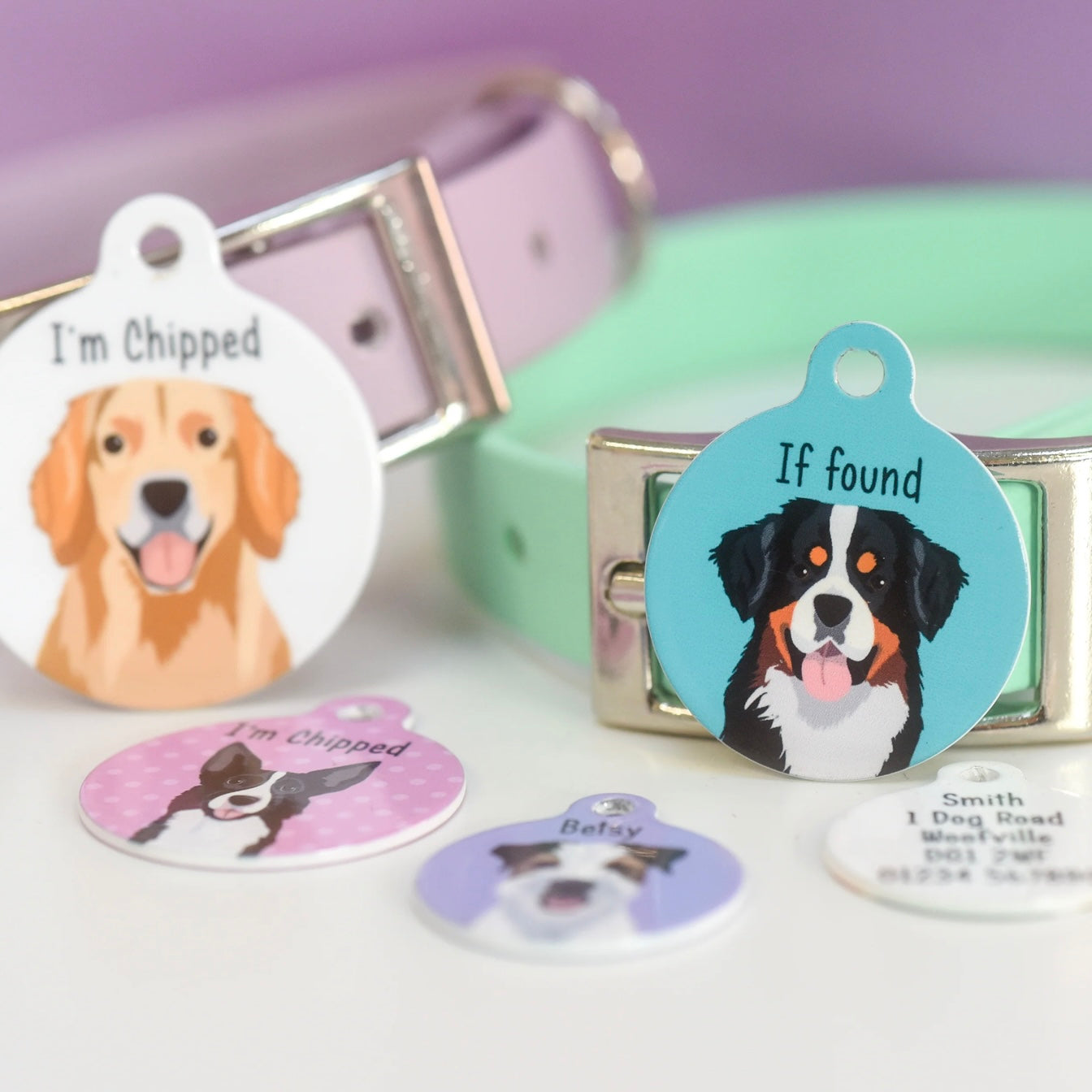 Hoobynoo Personalised Dog Tag - With Realistic Illustrations