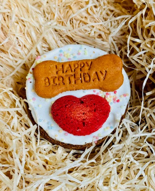 Woofday Party Cake