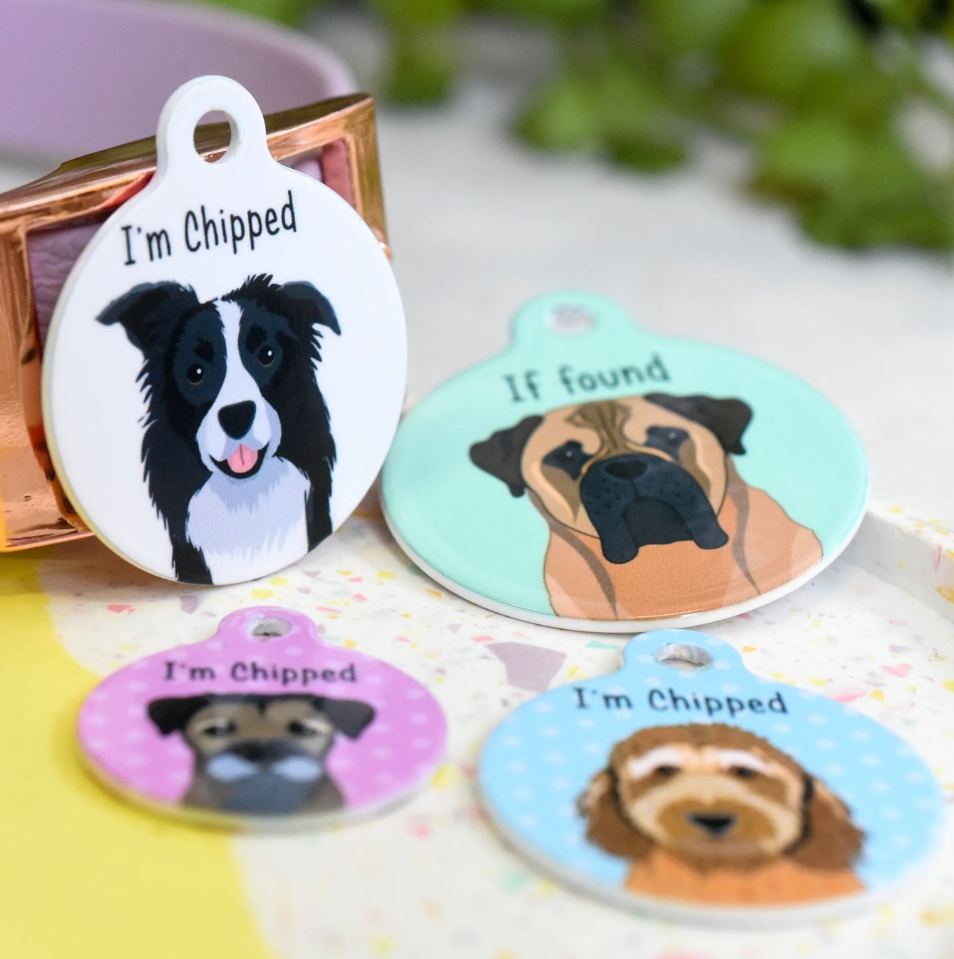 Hoobynoo Personalised Dog Tag - With Realistic Illustrations