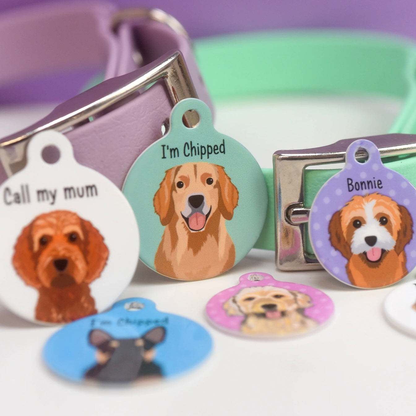 Hoobynoo Personalised Dog Tag - With Realistic Illustrations