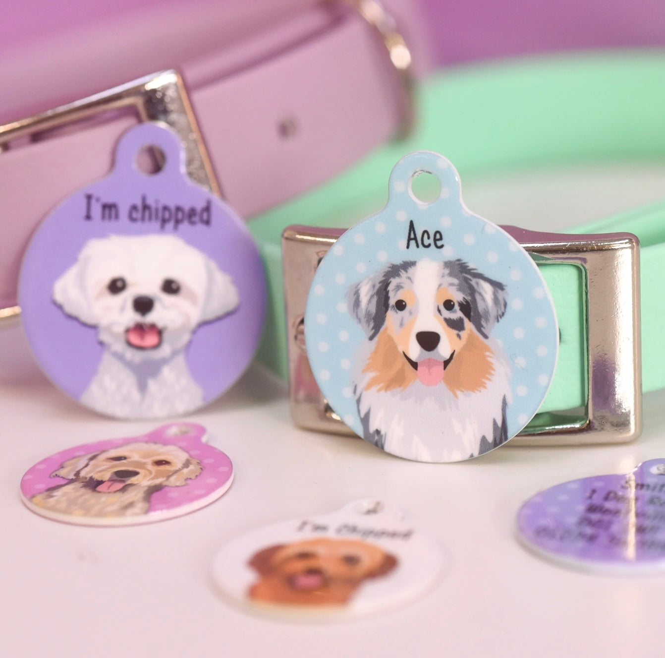 Hoobynoo Personalised Dog Tag - With Realistic Illustrations