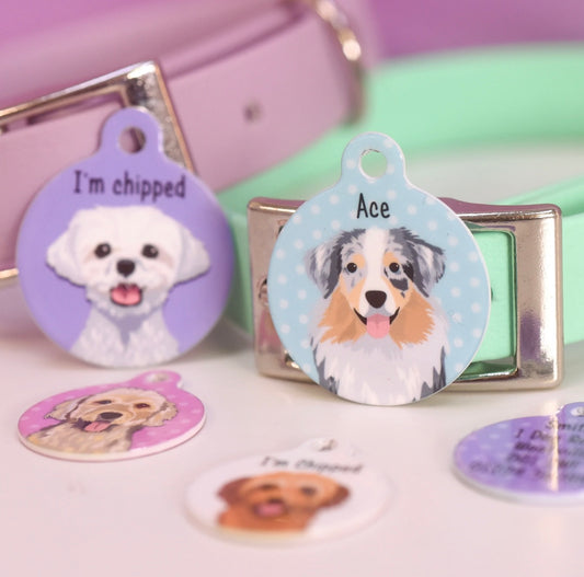 Hoobynoo Personalised Dog Tag - With Realistic Illustrations