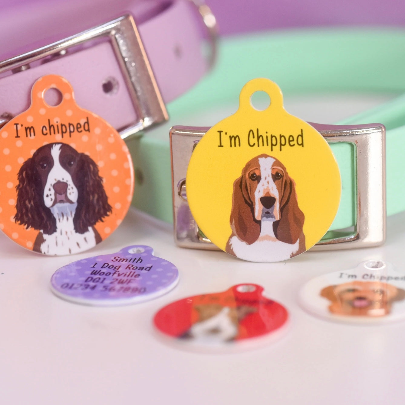 Hoobynoo Personalised Dog Tag - With Realistic Illustrations